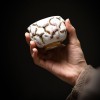 Master Teacup ceramics Handicrafts
