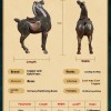 horse Brass handicrafts