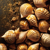 Custom image caption